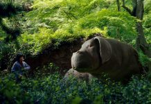Review phim Siêu Lợn Okja (2017) bước đột phá của điện ảnh Hàn