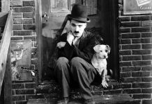 Tìm hiểu về Điện Ảnh môn nghệ thuật thứ 7