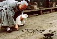 4 bộ phim kinh điển của châu Á từng khiến Hollywood phải thán phục